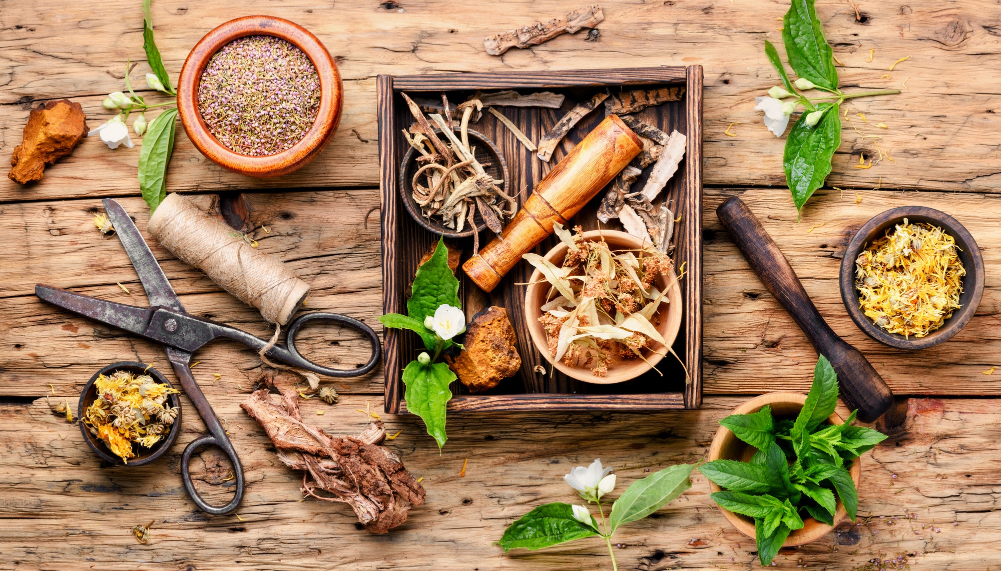 Alternative herbal medicine