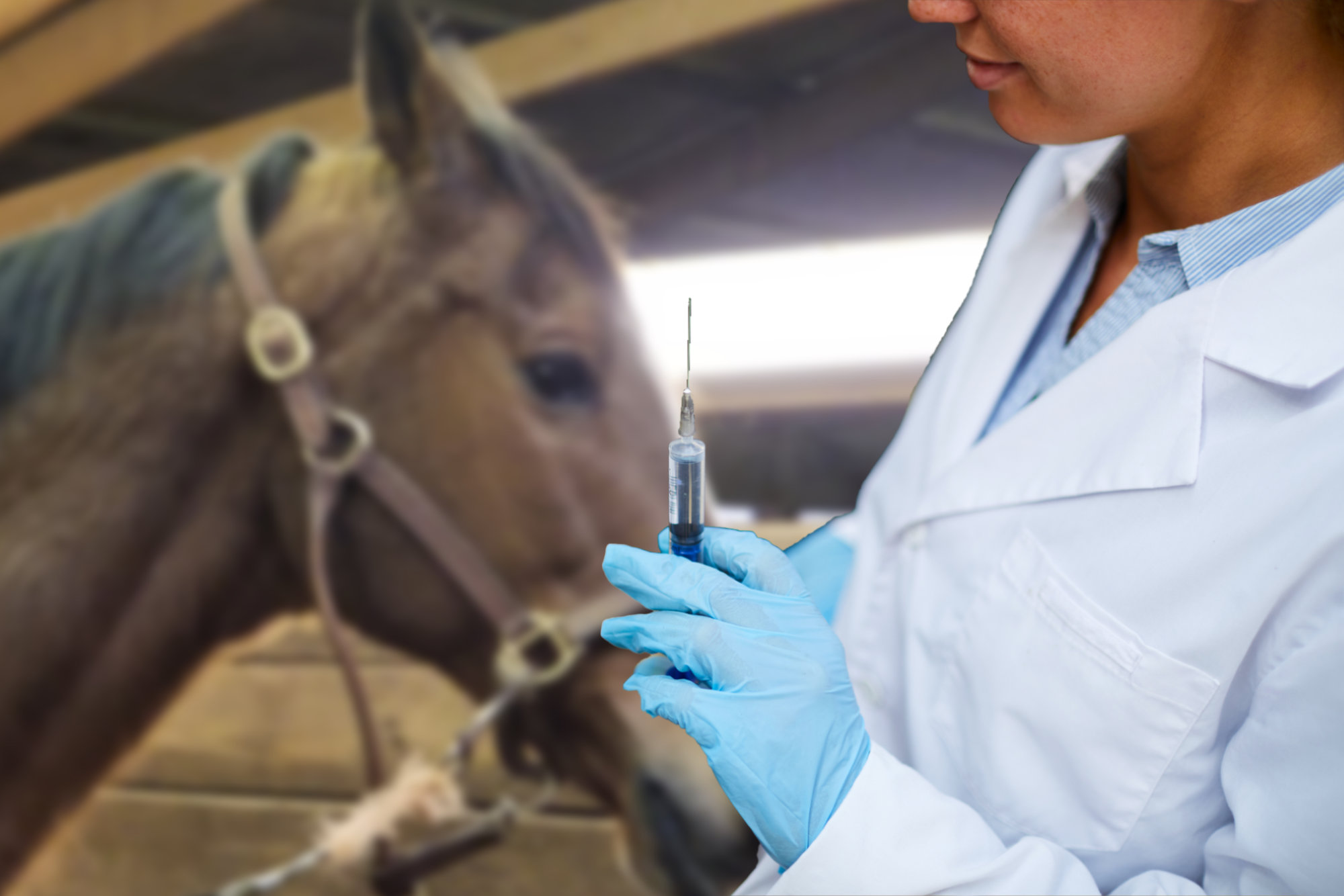 East West Veterinary Care - Equine Vaccinations