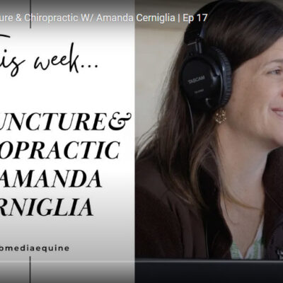 Amanda Cerniglia, DVM equine chiropractor on Equestrian Adult Amateur podcast