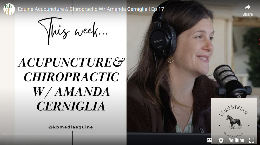 Amanda Cerniglia, DVM equine chiropractor on Equestrian Adult Amateur podcast